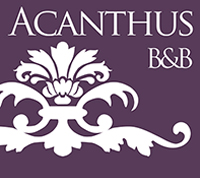 B&B Acanthus