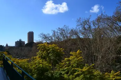 Planimetria di La maison de Lavinia