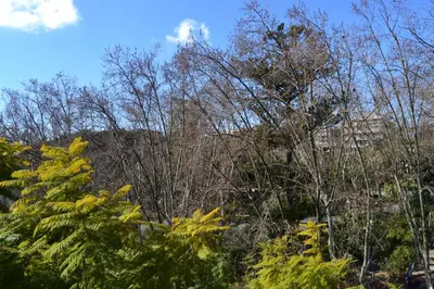 Paesaggio naturale nelle vicinanze dell'appartamento