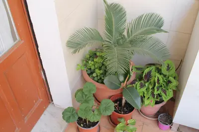 Planimetria di B&B Domus Pina
