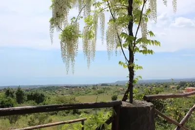 Paesaggio naturale nelle vicinanze del bed & breakfast