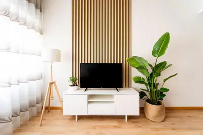 TV o dispositivi per l'intrattenimento presso Exclusive 2 Bedroom Apartment [Catania Center]