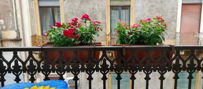 Balcone o terrazza di APPARTAMENTO a CENTRO STORICO DI CATANIA