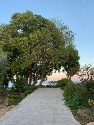 Paesaggio naturale nelle vicinanze dell'agriturismo