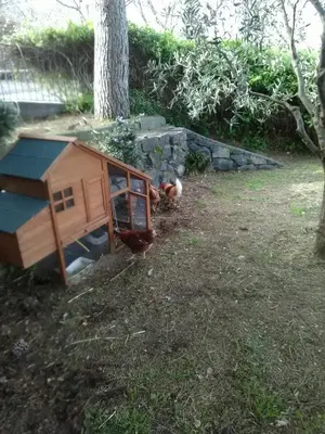 Giardino di La pietra antica O' munti