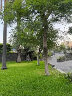 Giardino di Il Giardino di Pietra