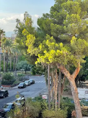 Planimetria di Maison Ruggero
