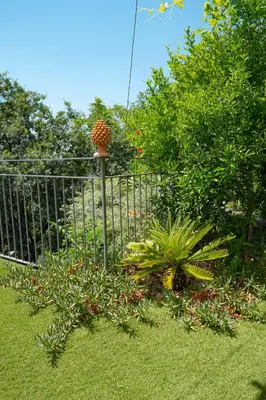 Giardino di Etna Bike Holiday