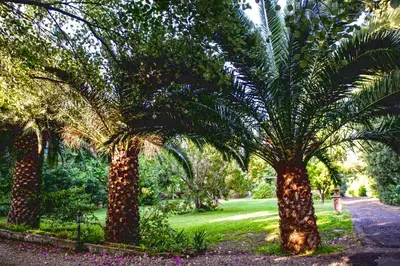 Giardino di Etna Botanic Garden