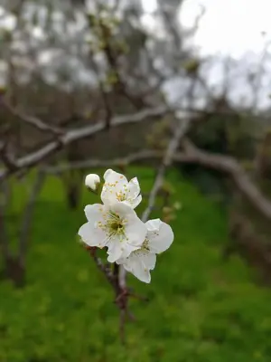 Giardino di Ai tre desideri la casita