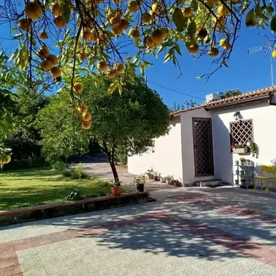 Ai tre desideri la casita
