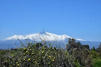 Paesaggio naturale nelle vicinanze della casa vacanze