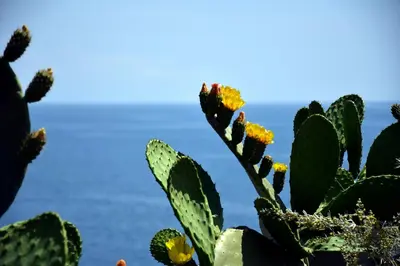 Paesaggio naturale nelle vicinanze della casa vacanze