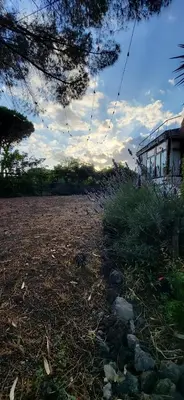 Giardino di Tenuta SGB - Il profumo del vino Etna Nicolosi