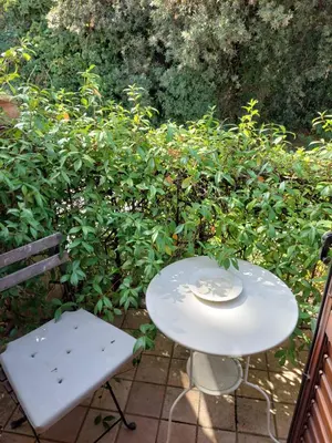 Giardino di Casa Delle Coccole