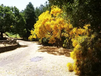 Paesaggio naturale nelle vicinanze della casa vacanze