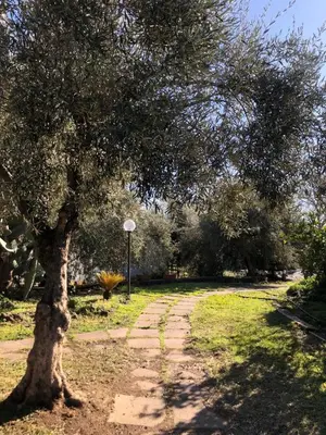 Giardino di Casa Vacanza L'ulivo