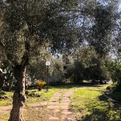 Casa Vacanza L'ulivo