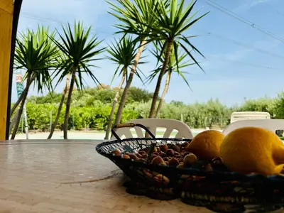 Cibo presso il lodge o nelle vicinanze