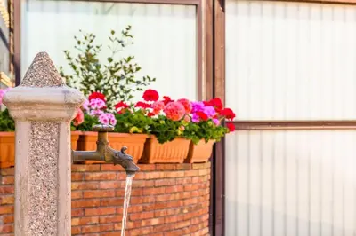 Giardino di Golden House Holiday