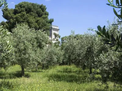 Giardino di Villa Castello Claves