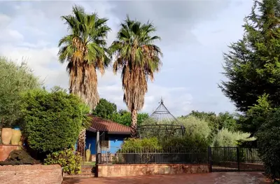 Giardino di Villa Hephaestus Etna - with private pool