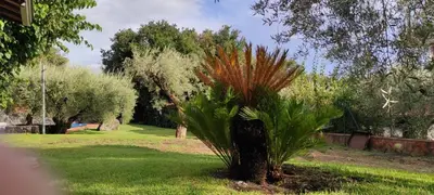Giardino di Villa Hephaestus Etna - with private pool
