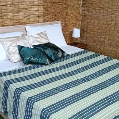Cerami Jungle Suite