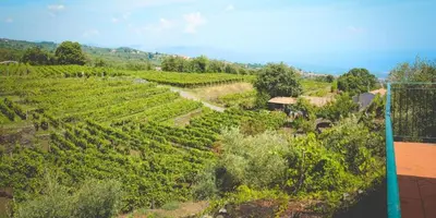Paesaggio naturale nelle vicinanze dell'agriturismo