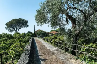 Paesaggio naturale nelle vicinanze of country house