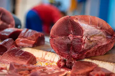 Cibo presso l'appartamento o nelle vicinanze