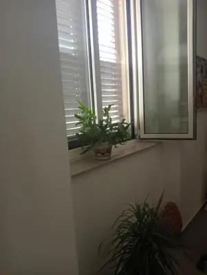 Planimetria di La casa delle api