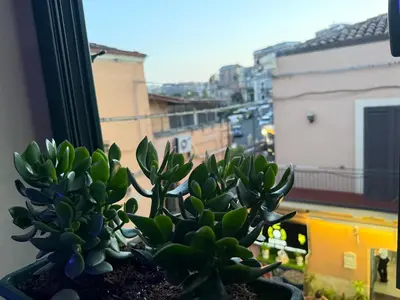 Edificio in cui si trova l'appartamento