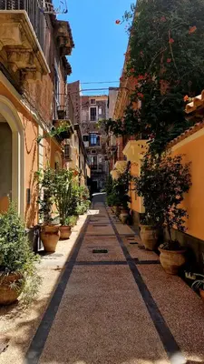 Il quartiere o una zona nella vicinanze dell'appartamento