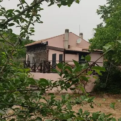 La Rosa antica dell'Etna