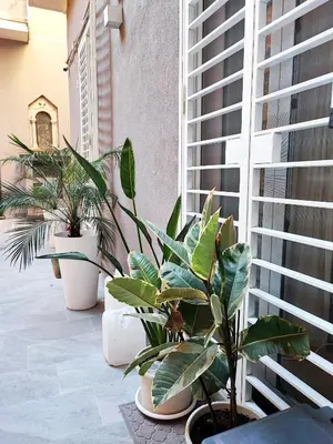 Planimetria di Morgana Luxury Apartment