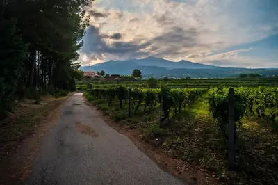 Paesaggio naturale nelle vicinanze dell'agriturismo