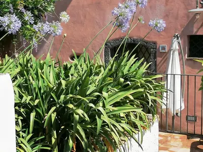 Giardino di Etna Dependance