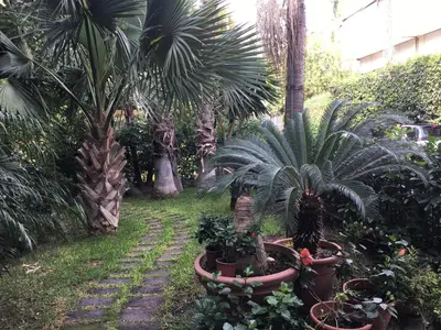 Giardino di Terrazza Pavone