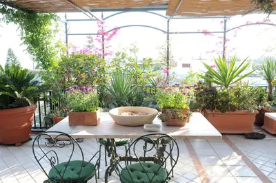 Giardino di Terrazza Pavone