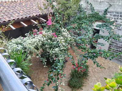 Giardino di Al Cortile