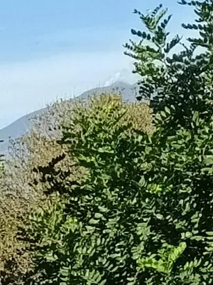 Paesaggio naturale nelle vicinanze della stanza in casa privata