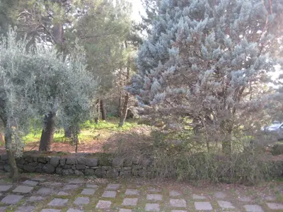 Giardino di La casa del Cavaliere