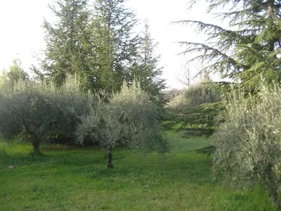 Giardino di La casa del Cavaliere