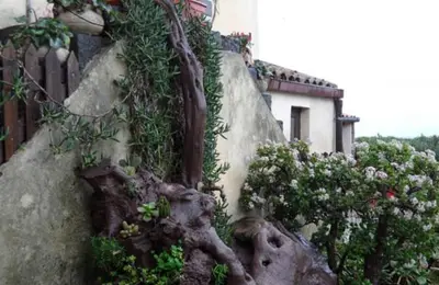Planimetria di Agriturismo Ruvitello