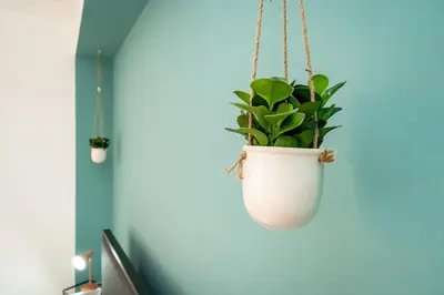 Planimetria di Bohemien House Catania by Harmony House