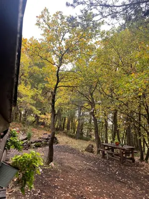 Paesaggio naturale nelle vicinanze dello chalet