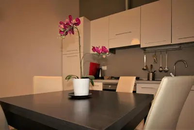 Cucina o angolo cottura di Katana Residence