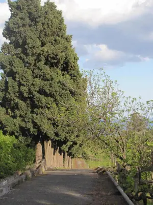 Paesaggio naturale nelle vicinanze del bed & breakfast