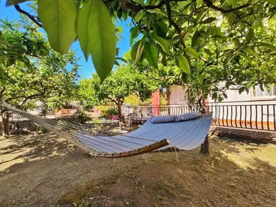 Giardino di Lemon Tree Home
